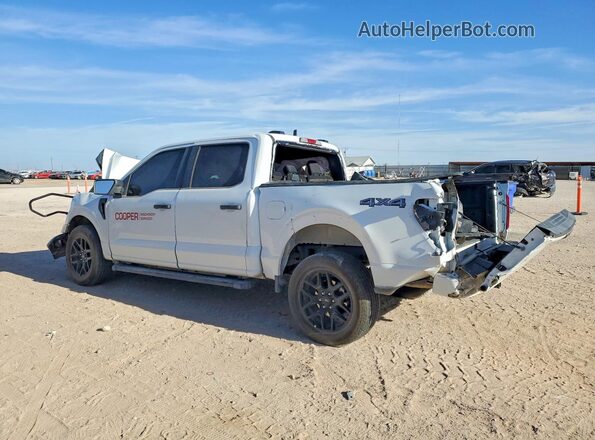1FTEW2LP1RKF27118 2024 FORD F150 White Rear left