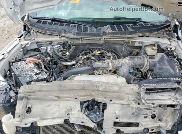 1FTEW2LPXRKD97923 2024 FORD F150 White Widok wnętrza z tyłu