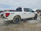 2024 Ford F150 White vin: 1FTEW2LPXRKD97923