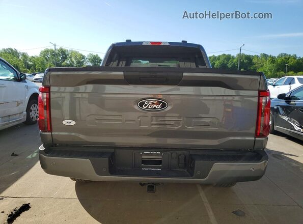 1FTEW2LPXSKE17917 2025 FORD F150 Угольный Вид сзади