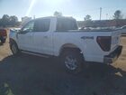 2024 Ford F150 Xlt White vin: 1FTEW3LP7RKE28065