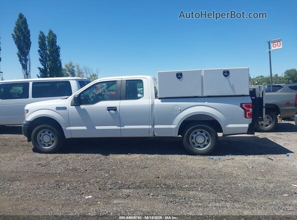 1FTEX1C48KKE83556 2019 FORD F150 White Սալոնի 360 աստիճան տեսք