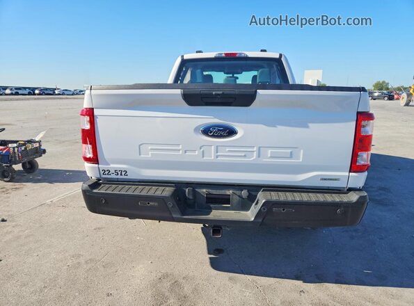 1FTEX1CP3PKF31997 2023 FORD F150 Белый Вид сзади