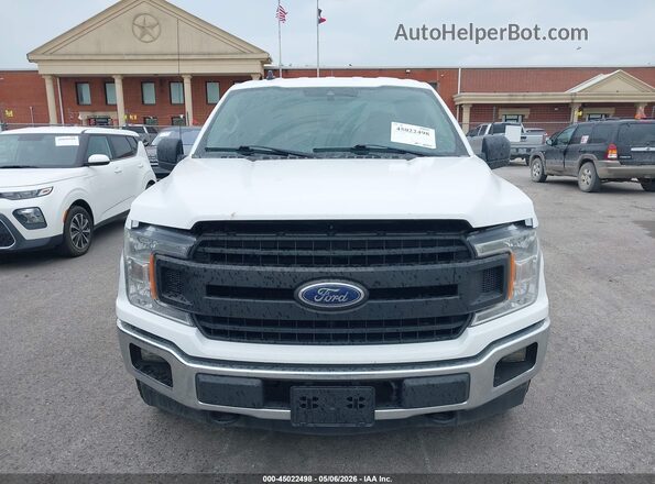 1FTEX1E57LKD02728 2020 FORD F150 Белый Вид спереди