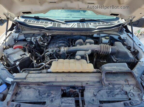 1FTEX1EB3MKD59046 2021 FORD F150 Белый Вид задней части салона