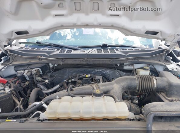 1FTEX1EP5MKE59113 2021 FORD F150 White Widok z tyłu