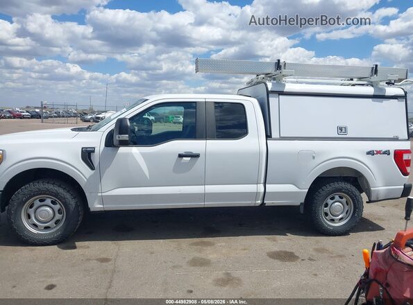 1FTEX1EP5MKE59113 2021 FORD F150 White Widok wnętrza 360 stopni