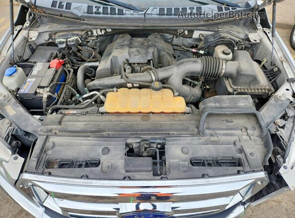 1FTEX1EP6HFA88249 2017 FORD F150 Серый Вид задней части салона
