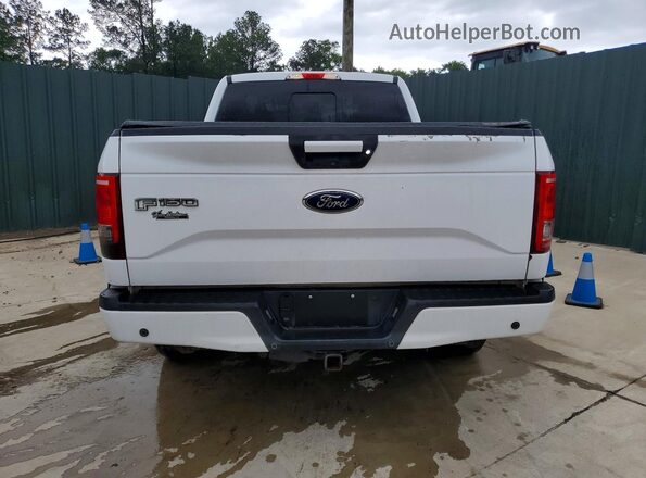 1FTEX1EP9GKE61516 2016 FORD F150 Белый Вид сзади