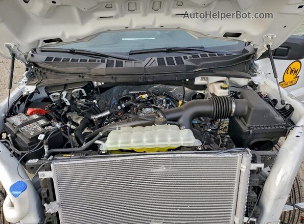 1FTEX1KP0SKD57817 2025 FORD F150 Белый Вид задней части салона