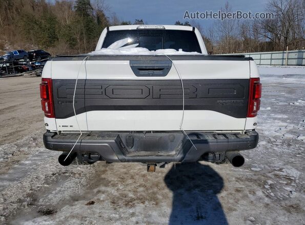 1FTEX1RG2HFB31687 2017 FORD F150 Белый Вид сзади