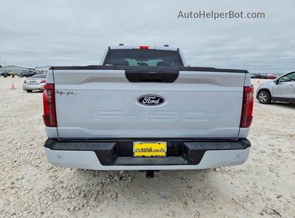 1FTEX2KP4SKE74743 2025 FORD F150 Gray Rear view