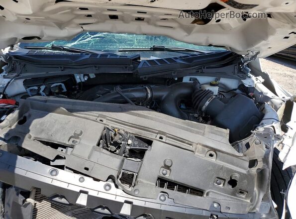 1FTEX2KP5RKD68389 2024 FORD F150 Белый Вид задней части салона