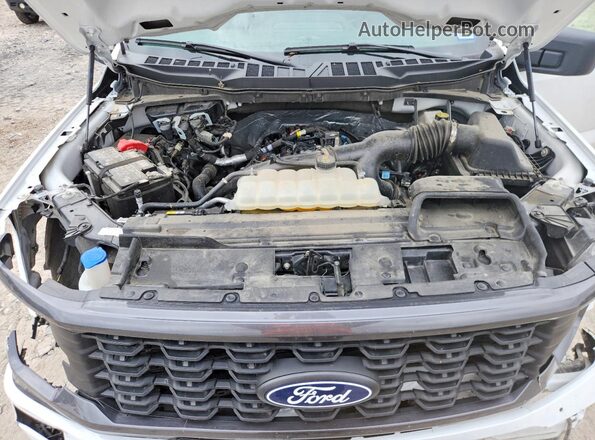 1FTEX2KP5SKD10269 2025 FORD F150 Белый Вид задней части салона