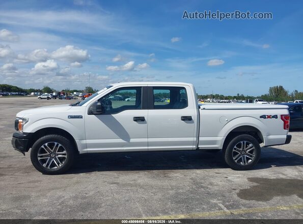 1FTFW1E41LFC09999 2020 FORD F150 Белый Панорамный вид салона 360°