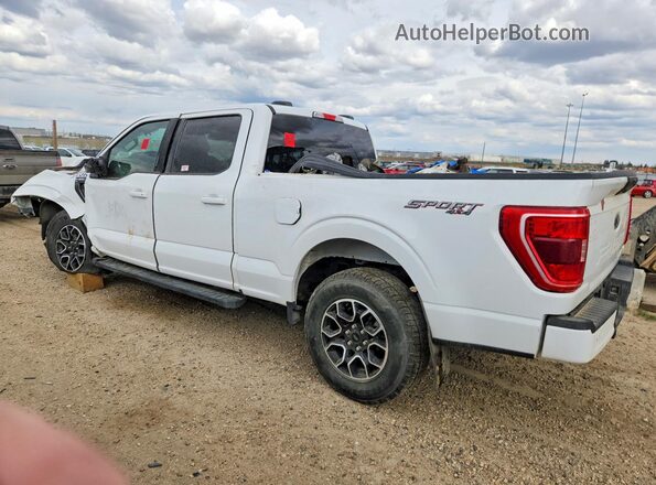 1FTFW1E52PFA85708 2023 FORD F150 Белый Задняя левая четверть