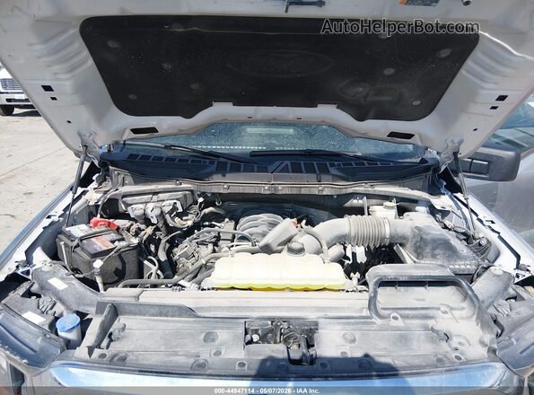 1FTFW1E53PFB24628 2023 FORD F150 Серебряный Вид сзади