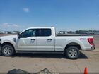 2023 Ford F-150 Xlt White vin: 1FTFW1E54PKE15906