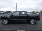 2021 Ford F-150 Xlt Black vin: 1FTFW1E83MFA72276