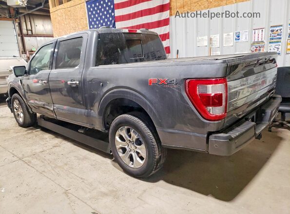 1FTFW1E86PFB37206 2023 FORD F150 Серый Задняя левая четверть