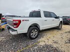 2023 Ford F150 Supercrew White vin: 1FTFW1ED2PFB29424