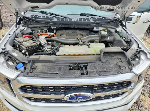 1FTFW1ED2PFB29424 2023 FORD F150 White Vista interior trasera