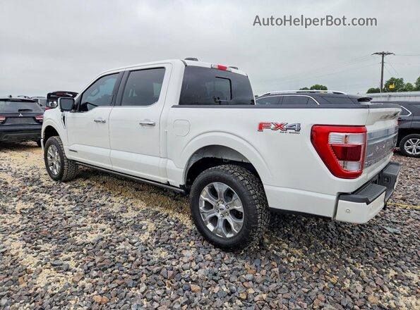 1FTFW1ED2PFB29424 2023 FORD F150 White Trasero izquierdo