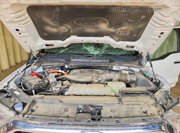 1FTFW1ED4NFB30555 2022 FORD F150 Белый Вид задней части салона