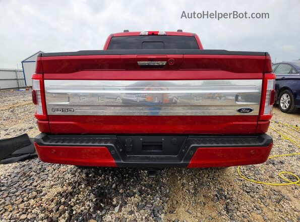 1FTFW1ED4PFA09754 2023 FORD F150 Красный Вид сзади