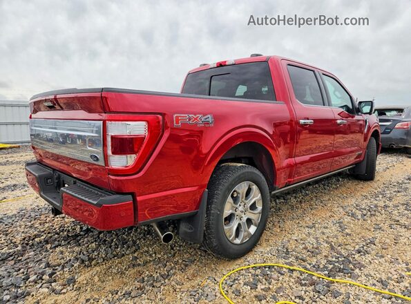 1FTFW1ED4PFA09754 2023 FORD F150 Красный Задняя правая четверть