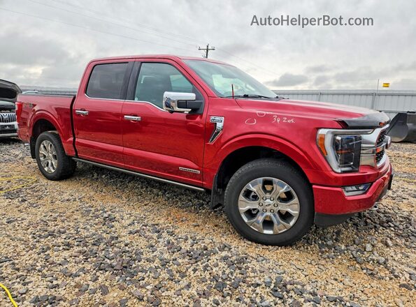 1FTFW1ED4PFA09754 2023 FORD F150 Красный Передняя правая четверть