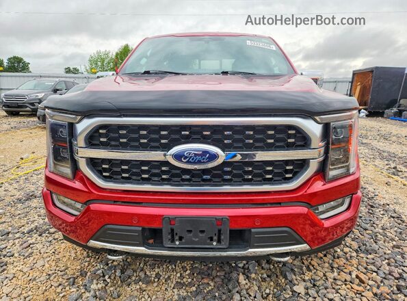 1FTFW1ED4PFA09754 2023 FORD F150 Красный Вид спереди