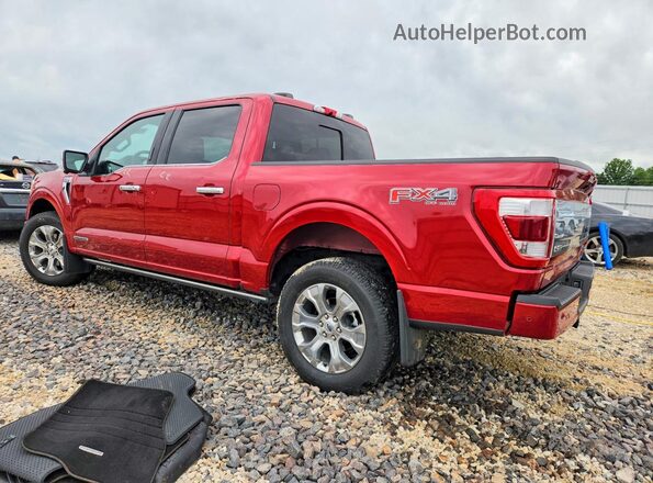 1FTFW1ED4PFA09754 2023 FORD F150 Красный Задняя левая четверть
