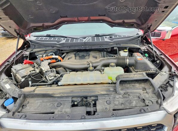 1FTFW1ED4PFA09754 2023 FORD F150 Красный Вид задней части салона
