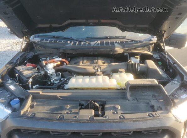 1FTFW1ED6PFD05357 2023 FORD F150 Gray Widok wnętrza z tyłu