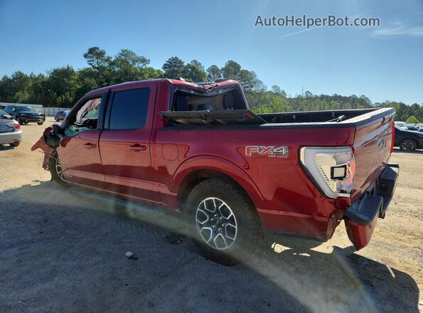 1FTFW1EDXPFC45714 2023 FORD F150 Красный Задняя левая четверть