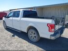 2016 Ford F-150 Xlt Белый vin: 1FTFW1EF5GKD38519