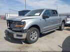 2025 Ford F-150 Xlt Pewter vin: 1FTFW3L54SKD70232