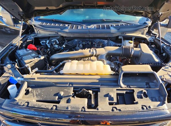 1FTFW3L85SKD40344 2025 FORD F150 Черный Вид задней части салона