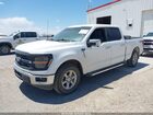 2024 Ford F-150 Xlt White vin: 1FTFW3L88RKD75941 2024 Ford F-150 Xlt White vin: 1FTFW3L88RKD75941