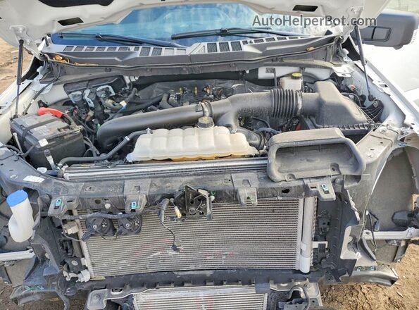 1FTFW3L89RKF80605 2024 FORD F150 Белый Вид задней части салона