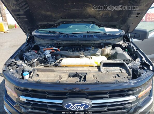 1FTFW3LD0RFA71878 2024 FORD F150 Серый Вид сзади