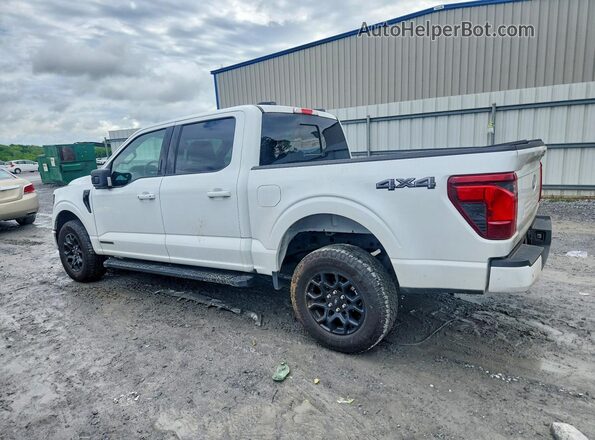 1FTFW3LD1RFA49436 2024 FORD F150 Белый Задняя левая четверть