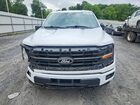 2024 Ford F150 Xlt Белый vin: 1FTFW3LD1RFA49436