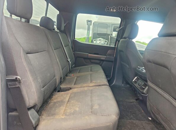 1FTFW3LD1RFA49436 2024 FORD F150 Белый Вид задних сидений