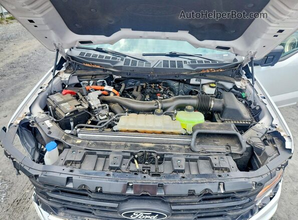 1FTFW3LD1RFA49436 2024 FORD F150 Белый Вид задней части салона