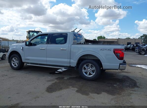 1FTFW3LD6RFA25004 2024 FORD F150 Серый Вид задней части салона