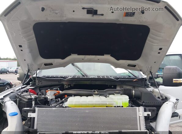 1FTFW3LD7SFB14392 2025 FORD F150 White Widok z tyłu