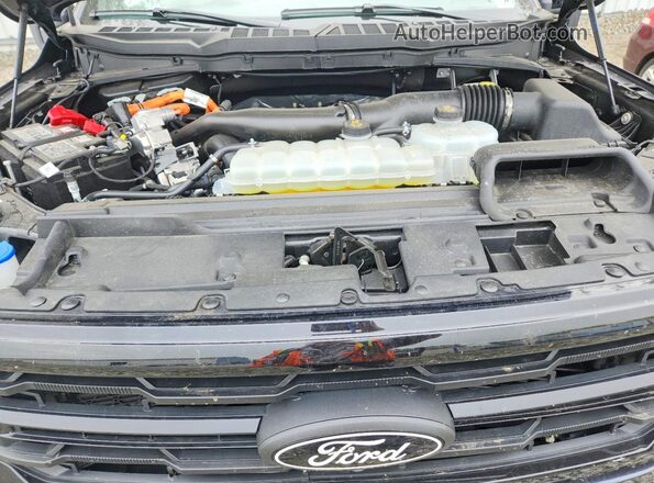 1FTFW3LD8SFB67523 2025 FORD F150 Blue Vista interior trasera