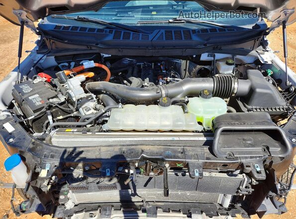 1FTFW3LD9RFA20461 2024 FORD F150 Silver Widok wnętrza z tyłu